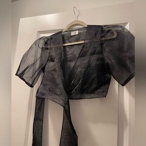 ARITZIA Sheer black blouse